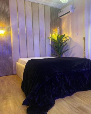 MULTI PURPOSE BLANKET! Premium super soft thick,double sided faux fur blanket!